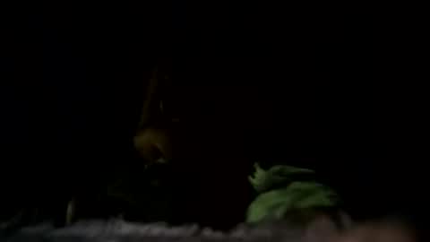 Snapshot of m8437769 chatting on 10.22.25 m8437769 online show from 10.22.25