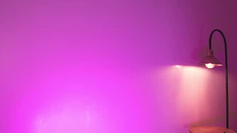 Noah Askew online show from 12.03.25