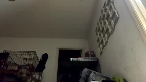 SummerPeach online show from 01.11.25