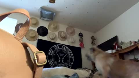 SummerPeach online show from 01.19.25