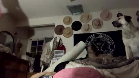 SummerPeach online show from 01.28.25