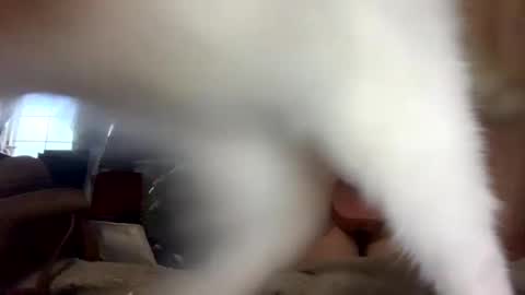 SummerPeach online show from 02.01.25