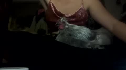 SummerPeach online show from 02.05.25