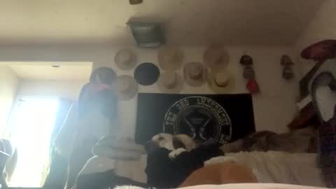 SummerPeach online show from 02.05.25