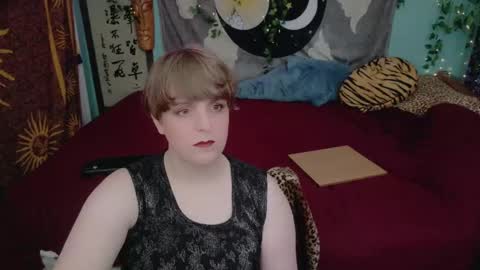 Maddy Cat online show from 10.27.25