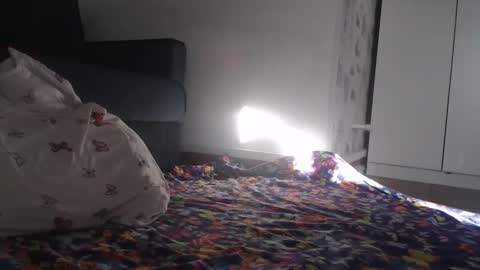 Julia online show from 03.30.26