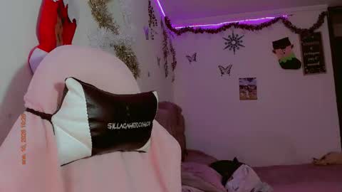 madso x17 online show from 01.11.26