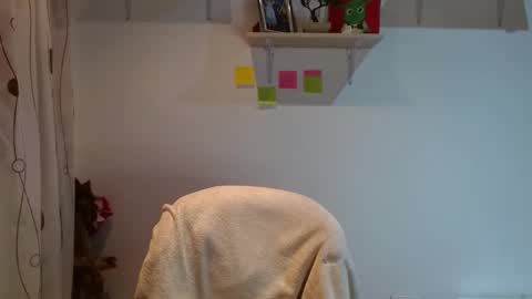 Madison Cambel online show from 02.12.25