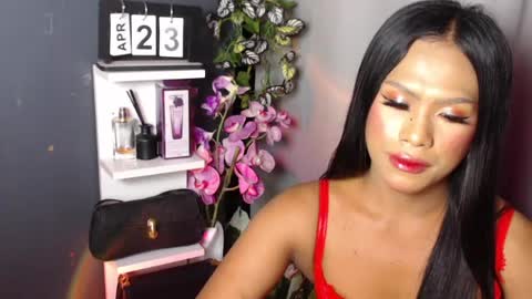 MADISONWILL online show from 04.26.26