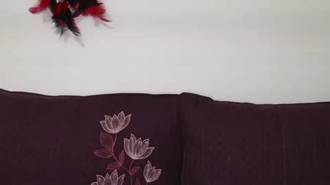 magic door open online show from 10.30.25