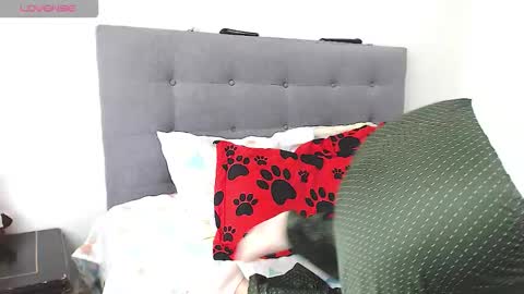 Snapshot of magic_stephany__ chatting on 02.04.26 magic_stephany__ online show from 02.04.26