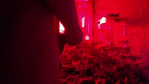 Snapshot of maicom222 chatting on 10.12.25 SILVA online show from 10.12.25