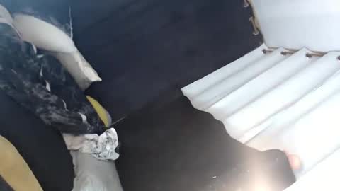 Lei online show from 01.12.25