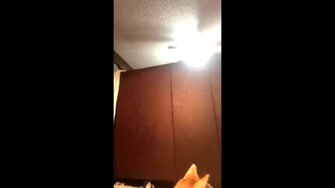 KarizmaticKitten online show from 02.21.26