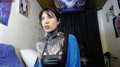 Snapshot of maliceinwonderland25 chatting on 12.19.24 Alice Asylum online show from 12.19.24