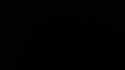 Alice Asylum online show from 11.17.25