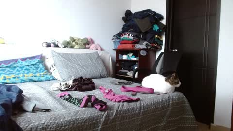 Malita online show from 04.06.26