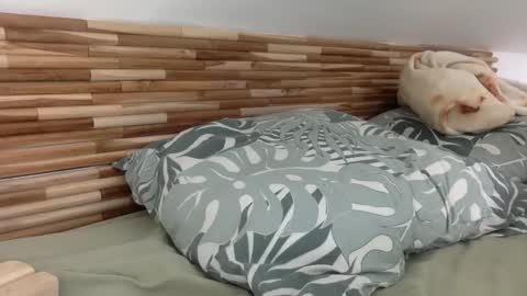 mamattv online show from 01.12.26