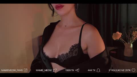 Snapshot of mamiemeow chatting on 06.05.26 Your Miss Alice online show from 06.05.26
