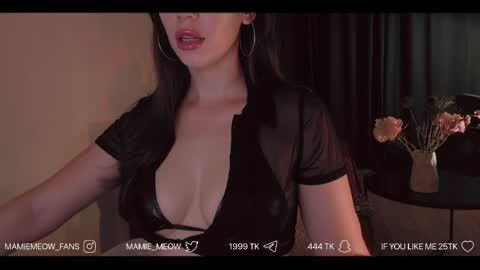 Snapshot of mamiemeow chatting on 06.06.26 Your Miss Alice online show from 06.06.26