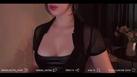 Snapshot of mamiemeow chatting on 07.01.26 Your Miss Alice online show from 07.01.26