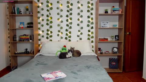 Danny online show from 01.24.25