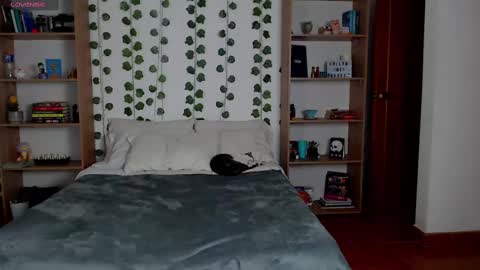 Danny online show from 03.06.25