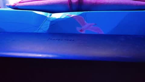 Daniel toyboy 97 online show from 11.19.25