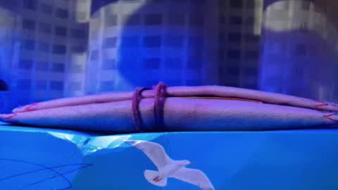 Daniel toyboy 97 online show from 11.20.25