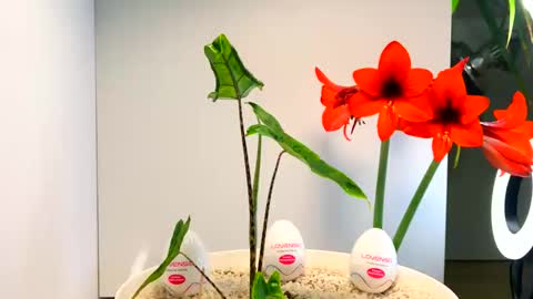 manup1977 online show from 12.16.25