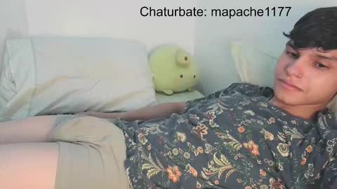 Snapshot of mapache1177 chatting on 02.24.26 mapache1177 online show from 02.24.26