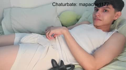 Snapshot of mapache1177 chatting on 02.26.26 mapache1177 online show from 02.26.26