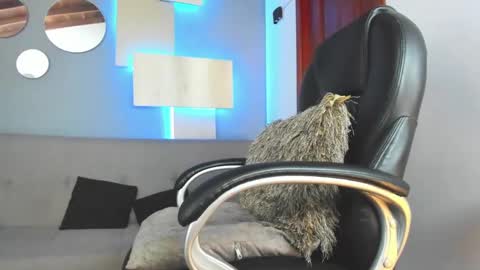 Snapshot of marcus_jax1 chatting on 02.14.25 Marcus Jax1 online show from 02.14.25