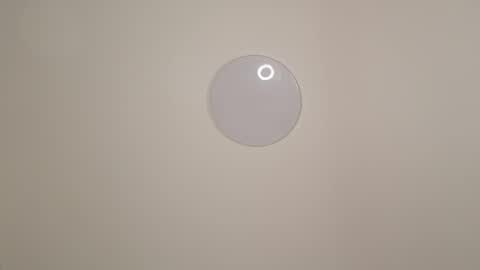 sofia online show from 11.29.25