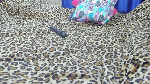 Snapshot of marie_marie03 chatting on 01.23.25 Marie   online show from 01.23.25