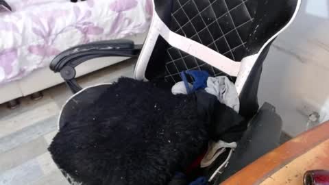 Snapshot of marilyn_lil chatting on 02.26.25 Marilyn online show from 02.26.25