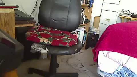 MarioDavidAndybros online show from 01.01.25