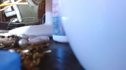 LEAH online show from 03.09.25