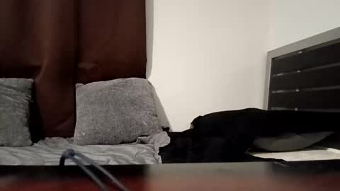 Snapshot of markbwcusmc chatting on 01.15.26 markbwcusmc online show from 01.15.26