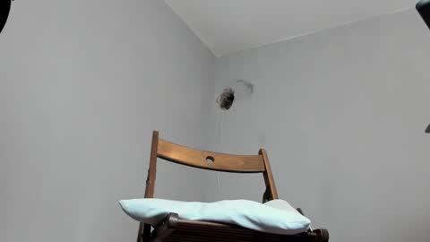 MARK online show from 10.16.25