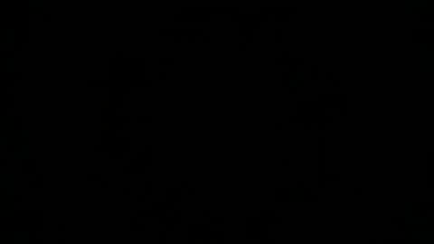 marriedblkbator online show from 12.20.24