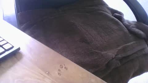 maskime59 online show from 02.21.26