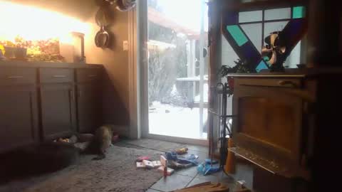 The Big Duurty online show from 02.15.25