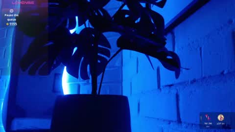 MATEO HUNTER online show from 04.15.26