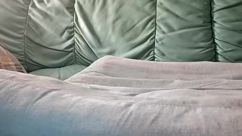 mathisdavid6757 online show from 11.09.25