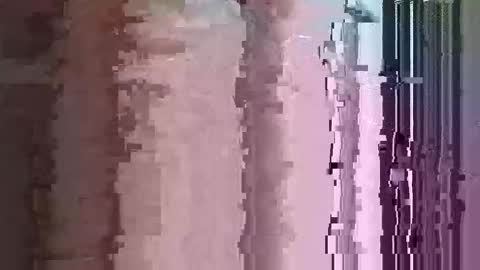 maththebear96 online show from 04.13.26