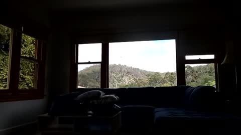 mattlesnake_101 online show from 02.15.26