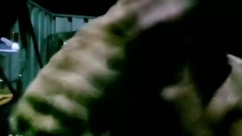 mattlesnake_101 online show from 04.18.26