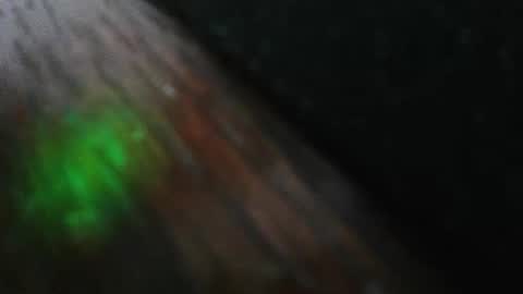 Snapshot of mattw31019 chatting on 02.24.26 mattw31019 online show from 02.24.26