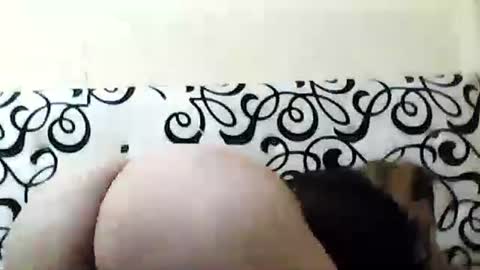 mature_sweet3827 online show from 12.06.24